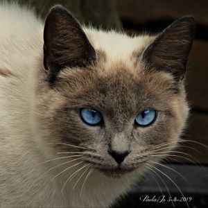 Meet your Posher, Paula